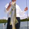 Vic with the best Snook of the day 4/ 2008'