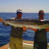 Capt. Chris and first mate Jason with a 65 # Wahoo 3 / 2011'
