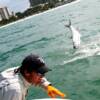 Cool shot taken by Mary Meadows of a Tarpon jumping on the leader grab 6/2009'